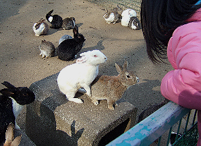 宝登山ロープウェイ